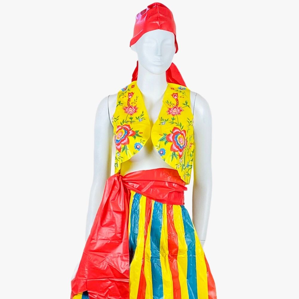 Vintage 1980s Womens Folk Gypsy Scandinavian Halloween Costume Floral Striped
